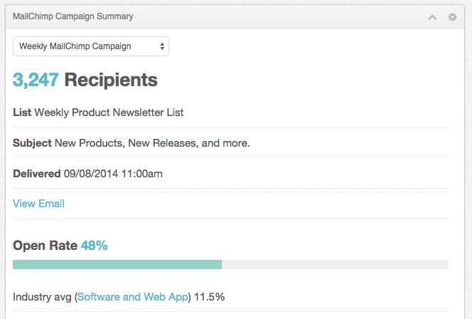 MailChimp Campaign Report 1 MailChimp Campaign Report 1