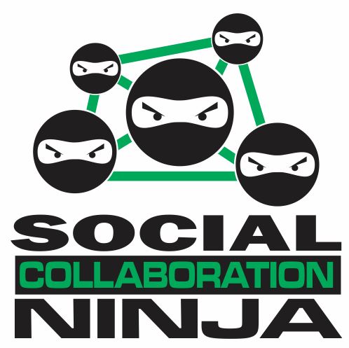 CRM Social Collaboration Ninja Logo