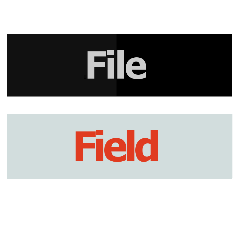 File Field Logo