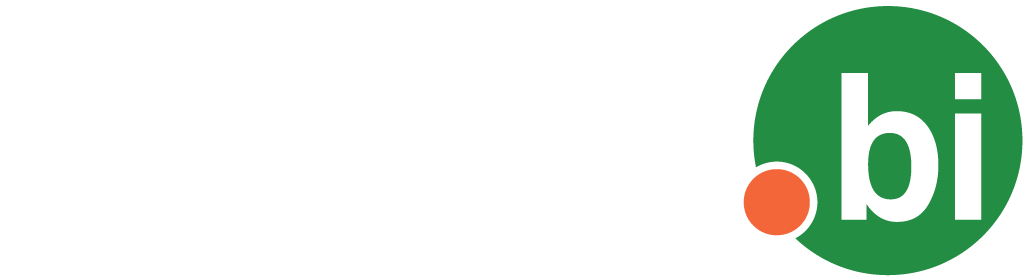 Sapiens.BI PRO - Analytic Reporting Logo
